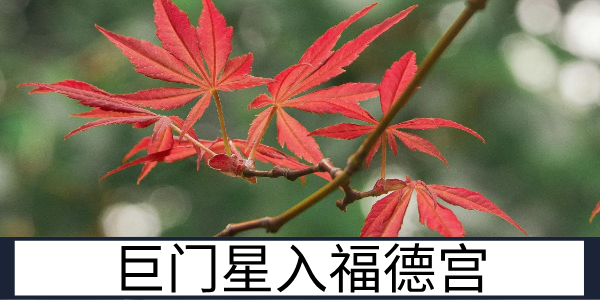 巨门星入福德宫：多疑压抑的精神世界