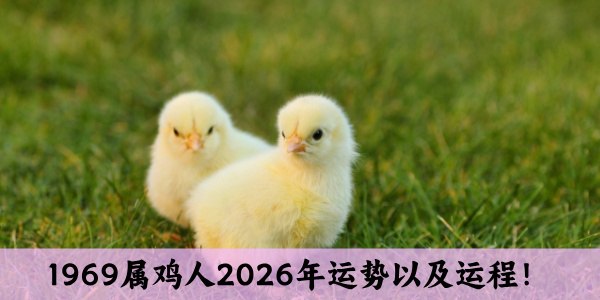 1969属鸡人2026年运势以及运程！