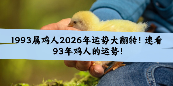 1993属鸡人2026年运势大翻转！速看93年鸡人的运势！