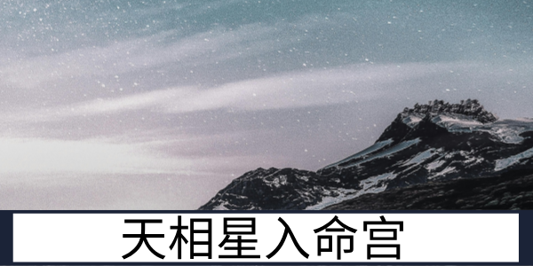 天相星入命宫：稳重靠谱的辅佐型人才