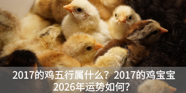 2017的鸡五行属什么？2017的鸡宝宝2026年运势如何？