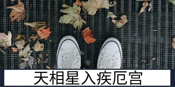 天相星入疾厄宫：需重调理的稳健体质