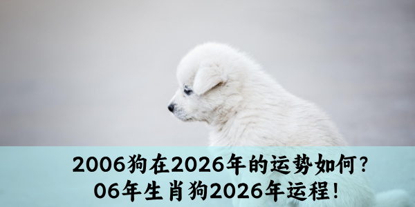 2006狗在2026年的运势如何？06年生肖狗2026年运程！