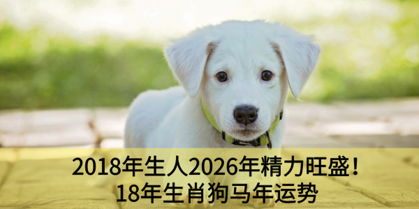 2018年生人2026年精力旺盛！18年生肖狗马年运势