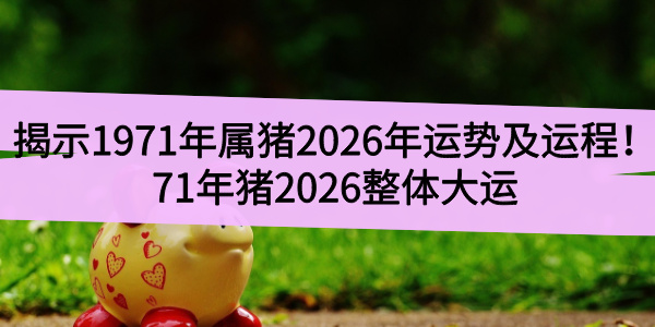 揭示1971年属猪2026年运势及运程！71年猪2026整体大运