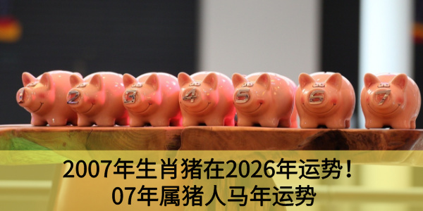 2007年生肖猪在2026年运势！07年属猪人马年运势