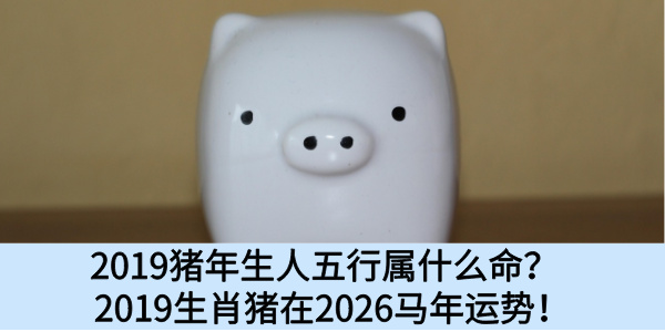 2019猪年生人五行属什么命？2019生肖猪在2026马年运势！