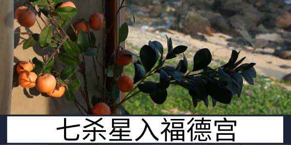 七杀星入福德宫：起伏较大的精神世界