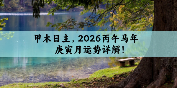 甲木日主，2026丙午马年庚寅月运势详解！