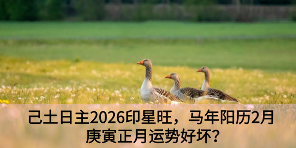 己土日主2026印星旺，马年阳历2月庚寅正月运势好坏？