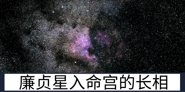 廉贞星入命宫的长相：自带贵气的清冷佳人