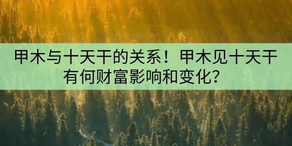 甲木与十天干的关系！甲木见十天干有何财富影响和变化？