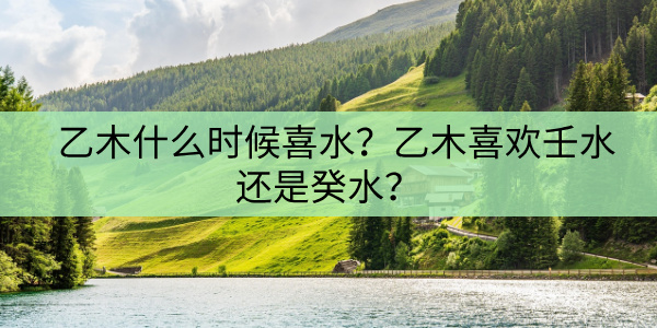 乙木喜欢壬水还是癸水？乙木喜欢壬水还是癸水？
