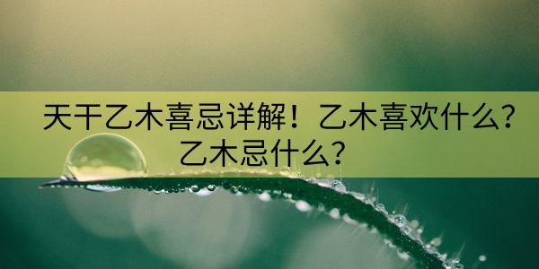 天干乙木喜忌详解！乙木喜欢什么？乙木忌什么？