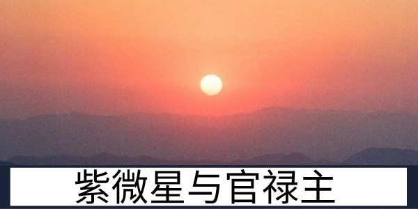 紫微星的化气为&ldquo;尊&rdquo;与官禄主特质