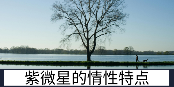 紫微星不化权，力量不够会如何？