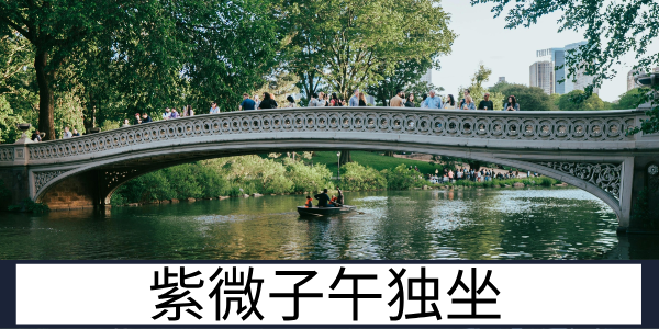 紫微子午独坐：尊贵与实干的结合