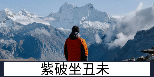 紫破丑未：魅力与挑战并存的格局