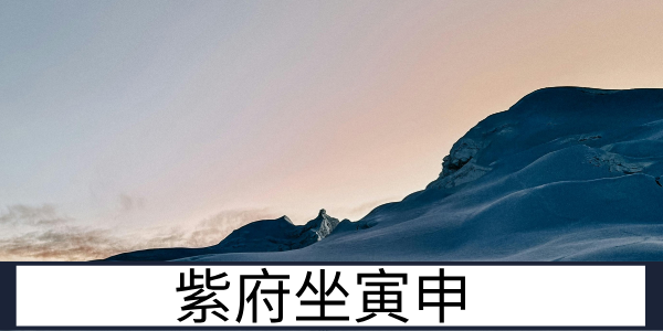 紫府寅申：生活富足与内心孤独的平衡