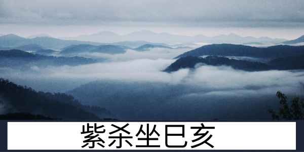 紫杀巳亥：刚强独立的创业型人格