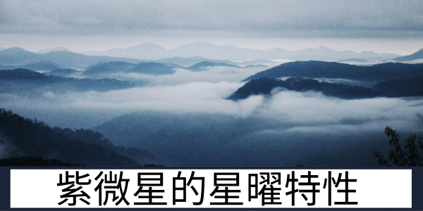 紫微星的星曜特性：行为表现与特色