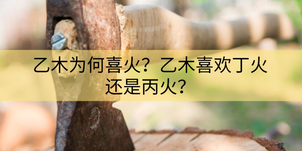 乙木为何喜火？乙木喜欢丁火还是丙火？