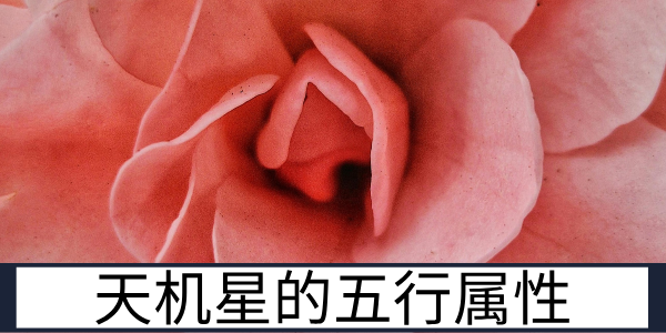 天机星的五行属性与职业发展的适配方向