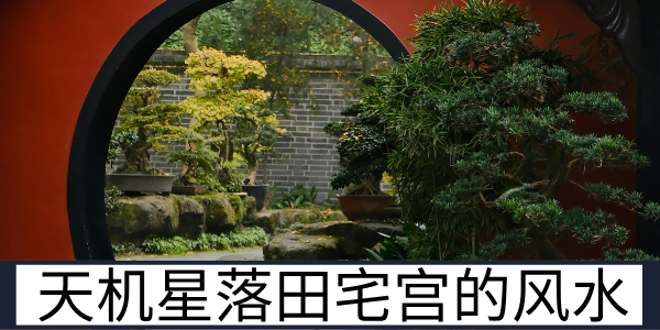 天机星落田宅宫的运势表现与风水注意事项