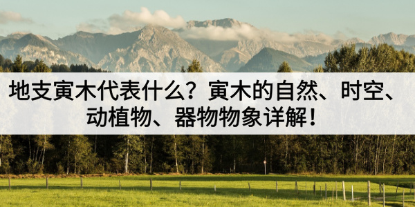地支寅木代表什么？寅木的自然、时空、动植物、器物物象详解！