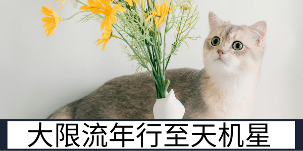 大限流年行至天机星的关键决策与运势变化