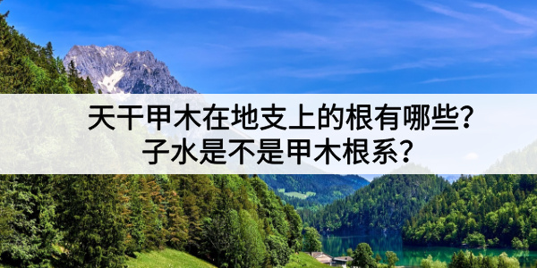 天干甲木在地支上的根有哪些？子水是不是甲木根系？