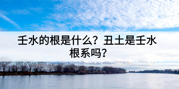 壬水的根是什么？丑土是壬水根系吗？