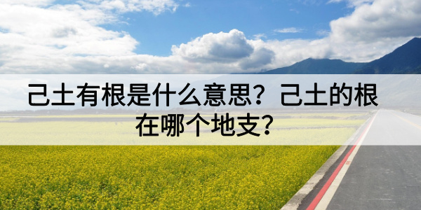 己土有根是什么意思？己土的根在哪个地支？