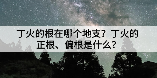 丁火的根在哪个地支？丁火的正根、偏根是什么？