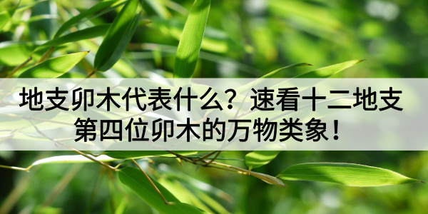 地支卯木代表什么？速看十二地支第四位卯木的万物类象！
