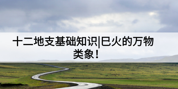 十二地支基础知识|巳火的万物类象！