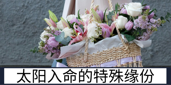 太阳入命的迁移特质与和异族的特殊缘份