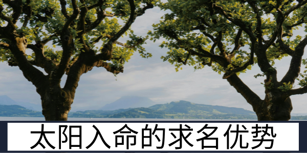 太阳入命的求名优势与职业发展的适配方向