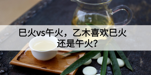 巳火vs午火，乙木喜欢巳火还是午火？