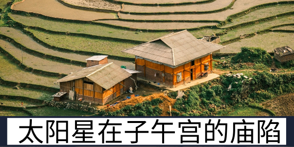 太阳星在子午宫的庙陷特质与不同年份的运势表现