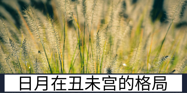 日月在丑未宫的格局特质与男女命的运势差异