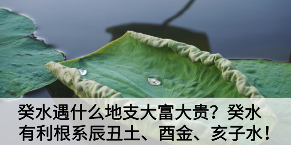 癸水遇什么地支大富大贵？癸水有利根系辰丑土、酉金、亥子水！