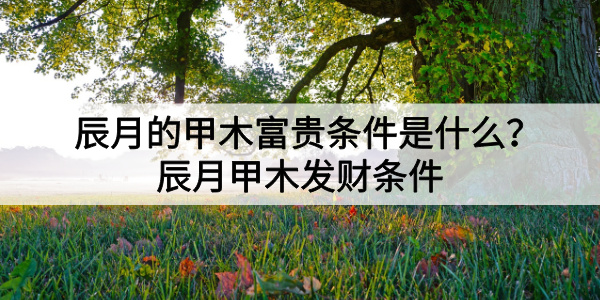 辰月的甲木富贵条件是什么？辰月甲木发财条件