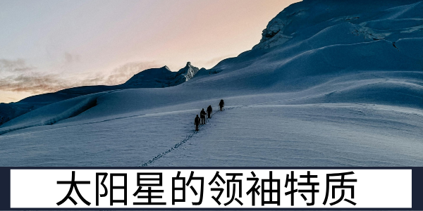 太阳星的星曜属性定位与领袖特质的差异化分析