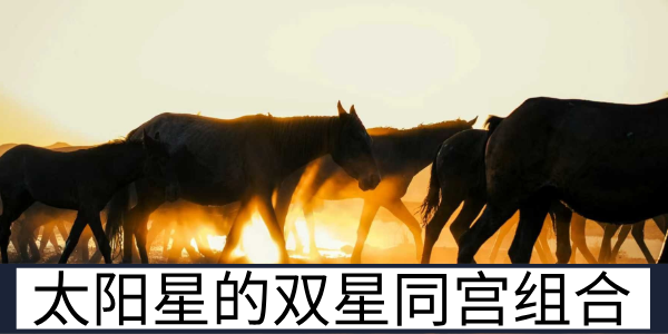 太阳星的双星同宫组合与各组合的性格特质分析
