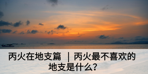丙火在地支篇|丙火最不喜欢的地支是什么？