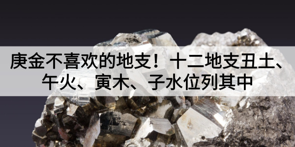 庚金喜欢的地支有哪些？申、酉、辰、巳、亥