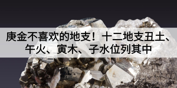 庚金喜欢的地支有哪些？申、酉、辰、巳、亥