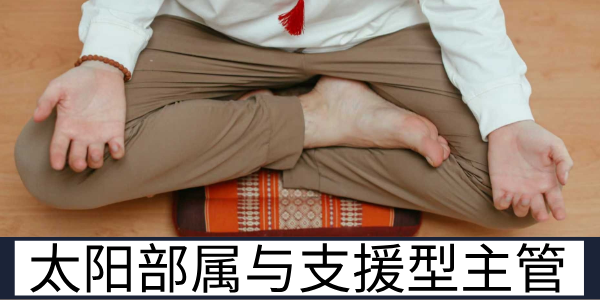 太阳部属与支援型主管的互动模式及相处注意事项