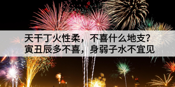 天干丁火性柔，不喜什么地支？寅丑辰多不喜，身弱子水不宜见